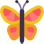 Butterfly.png