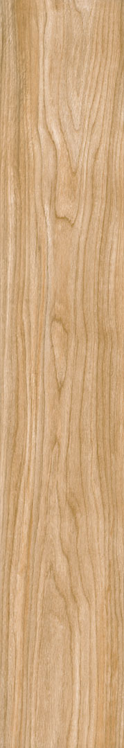 GP FOREST OAK CREMA RT 8X48 PM.jpg