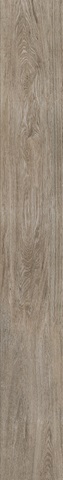 SELECTION OAK Amber 26.5X240 cm. (6 mm.).jpg