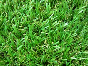 หญ้าเทียม อีซี่กราส เอสซีจี รุ่นสั่งตัด ความยาวหญ้า 2 ซม. สี เฟรช กรีน.jpg