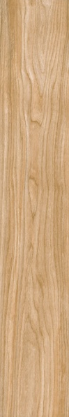 ไฟล์:GP FOREST OAK CREMA RT 8X48 PM.jpg