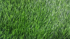 หญ้าเทียม เอสซีจี อีซี่กราส สปอร์ต รุ่นสั่งตัด ความยาวหญ้า 5 ซม.โอเมก้า เชป.jpg