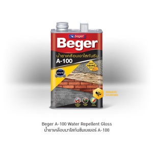 Chemical 5 Beger A-100 Water Repellent Gloss.jpg