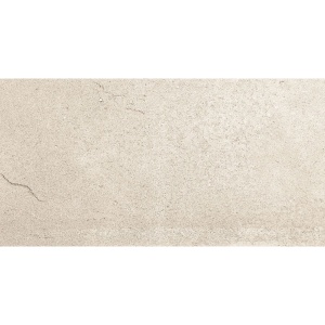 NEO BASALT ARGENTO NAT R10 741401 40X80cm..jpg