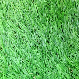 หญ้าเทียม อีซี่กราส เอสซีจี รุ่นสั่งตัด ความยาวหญ้า 4 ซม. สี เฟรช กรีน.jpg