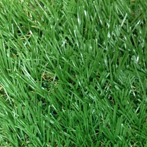 หญ้าเทียม อีซี่กราส เอสซีจี รุ่นสั่งตัด ความยาวหญ้า 4 ซม. สี เขียว.jpg