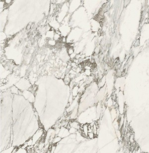 58STONES & MORE 2.0 Arabescato White Glossy 120X120 cm. (6 mm.).jpg