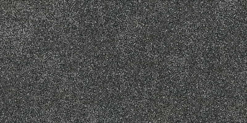 ไฟล์:ARTWORK Micro 02 Matte 120X240 cm. (6 mm.).jpg