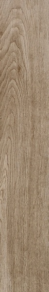 ไฟล์:Cotto-italia-series-selection-oak-gt737662-am pd420351.jpg