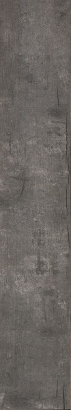 ไฟล์:TAIGA Var 15x90 cm..jpg