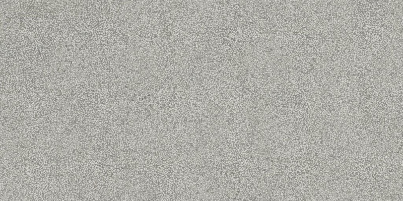 ไฟล์:ARTWORK Micro 01 Matte 60X120 cm..jpg