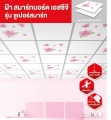 Scg-smartboard-supersmart.jpg